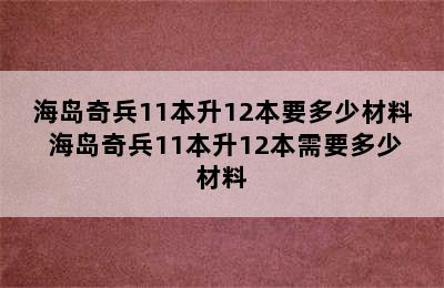 海岛奇兵11本升12本要多少材料 海岛奇兵11本升12本需要多少材料